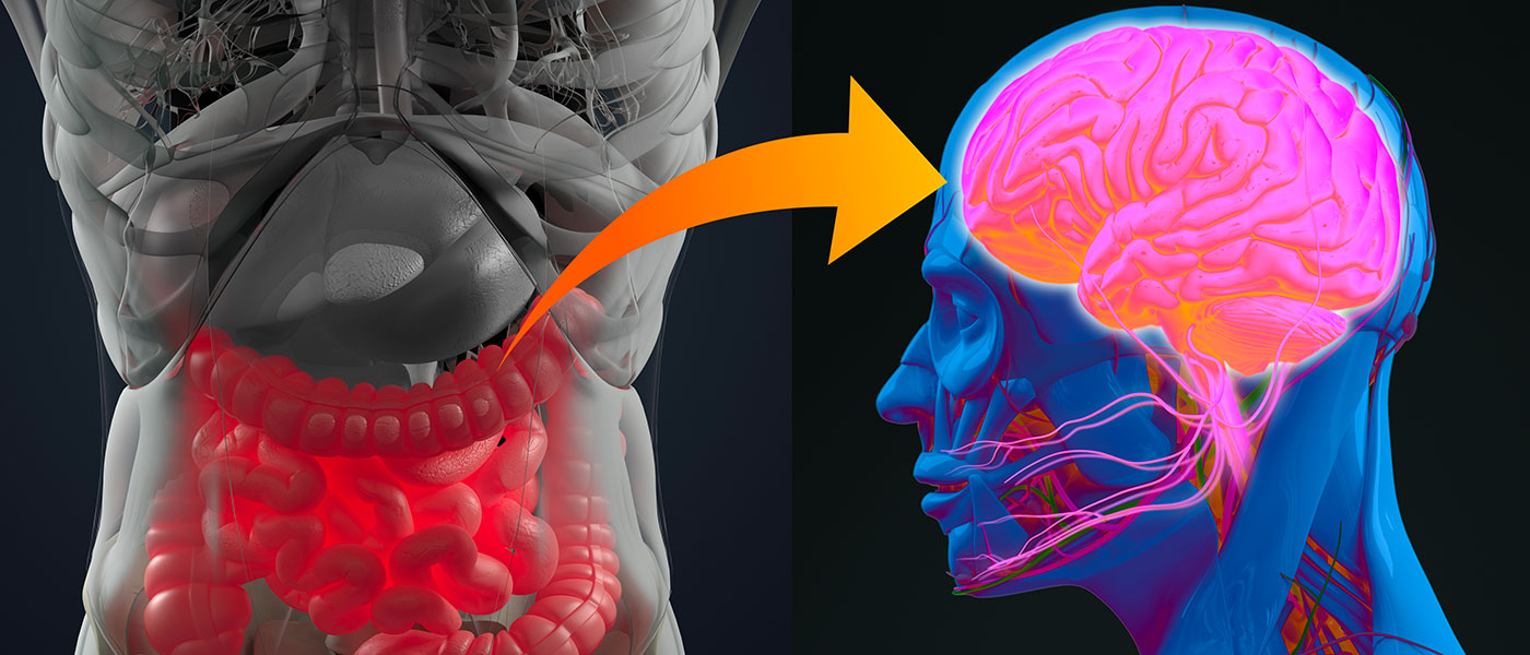 Rapporto tra microbiota intestinale e malattia di Alzheimer