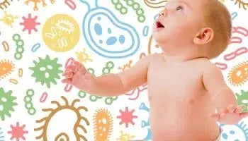 Il microbiota nel bambino (prima I)