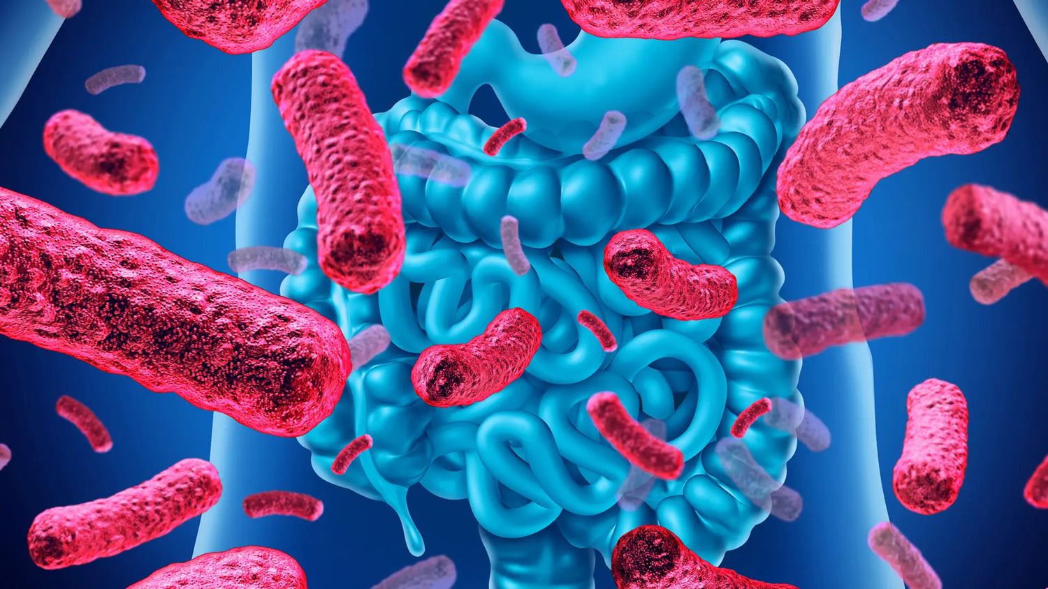 Rapporto tra microbiota intestinale e malattie metaboliche